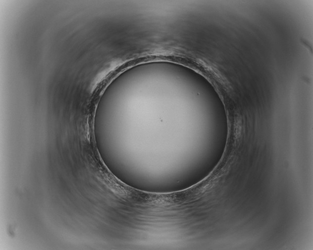 X0000102301262200808011532