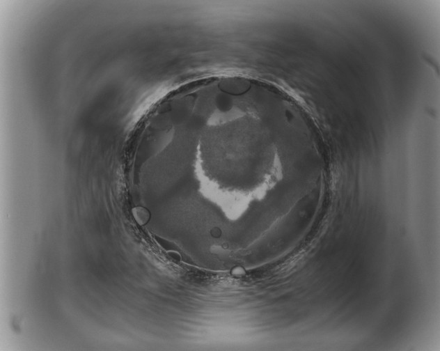 X0000102301263200808011531