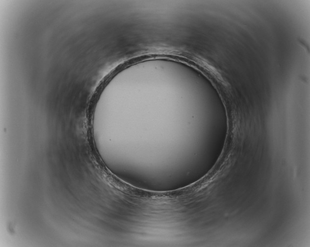 X0000102301264200808011531