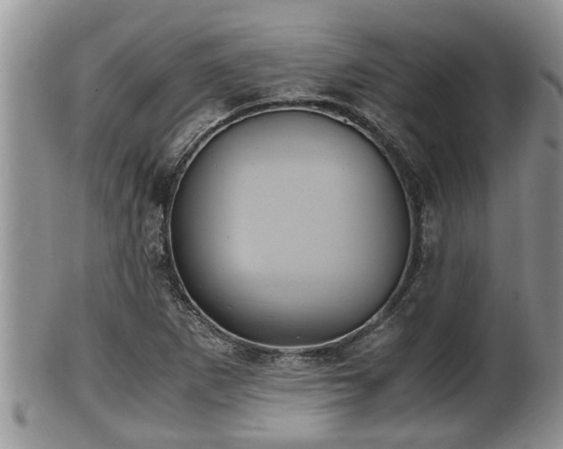 X0000102301265200808011531