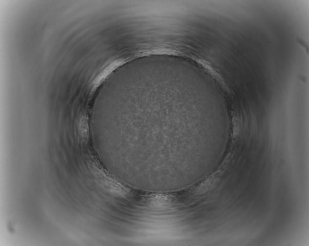 X0000102301266200808011531