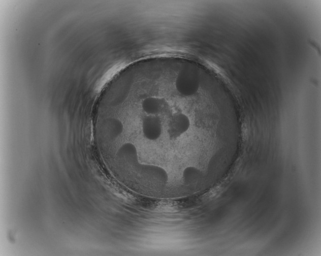 X0000102301267200808011531