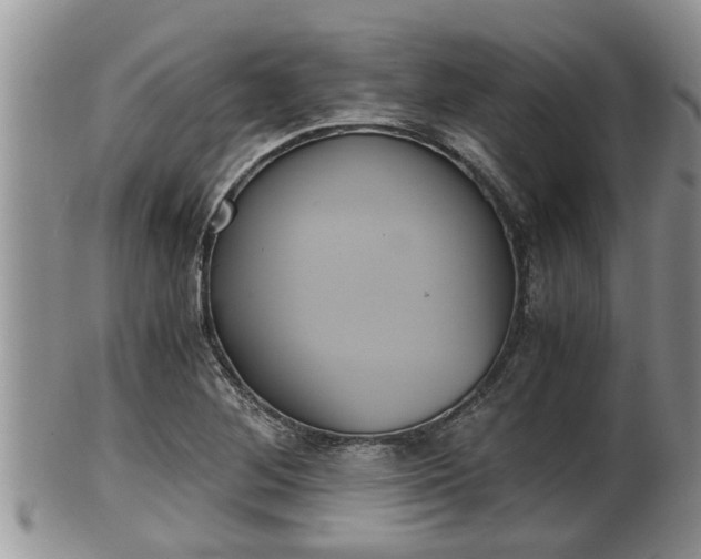 X0000102301268200808011531