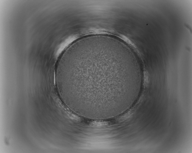 X0000102301269200808011531