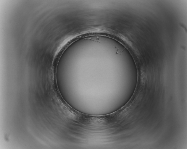 X0000102301270200808011531