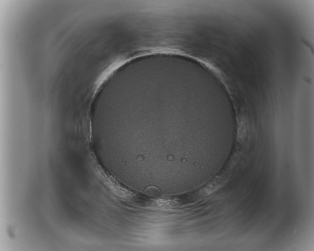 X0000102301271200808011531