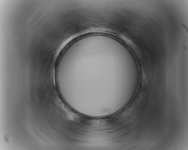 X0000102301272200808011531