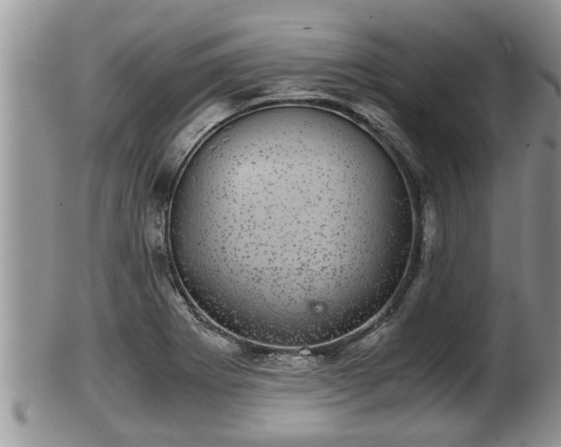 X0000102301273200808011531