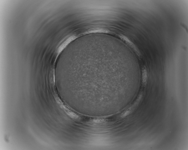 X0000102301274200808011531