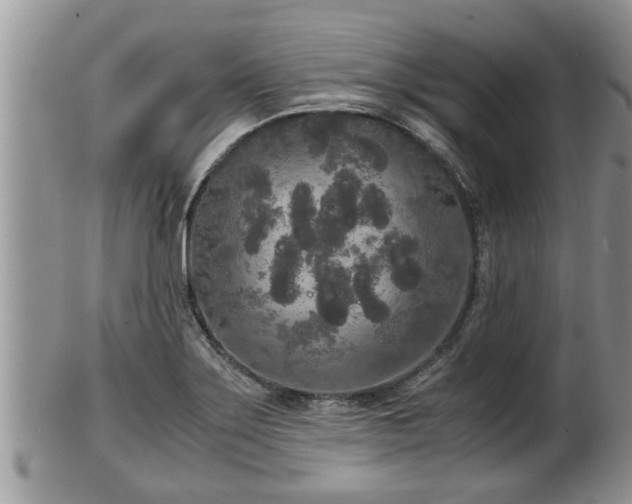 X0000102301275200808011531