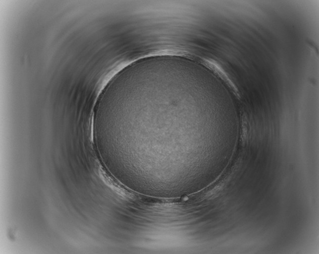 X0000102301276200808011531