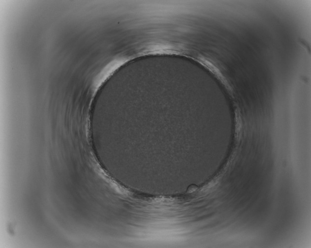 X0000102301277200808011531