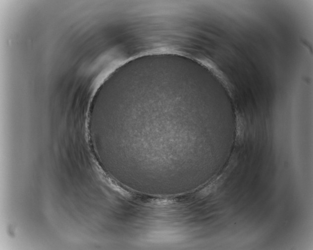 X0000102301278200808011531