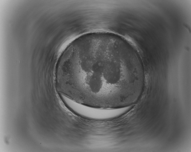 X0000102301279200808011531