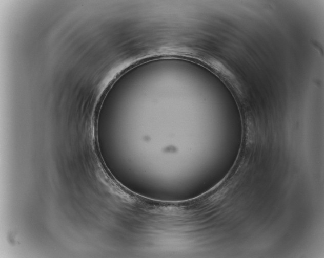 X0000102301280200808011531