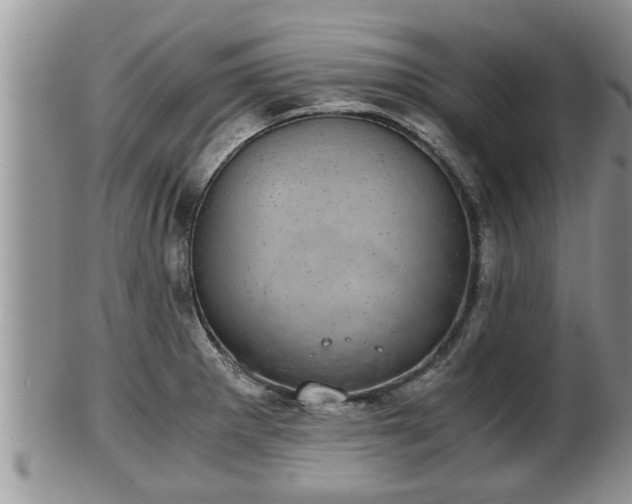 X0000102301281200808011531