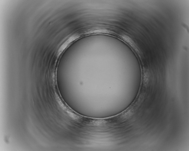 X0000102301282200808011531