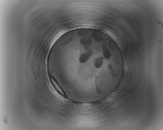 X0000102301283200808011531