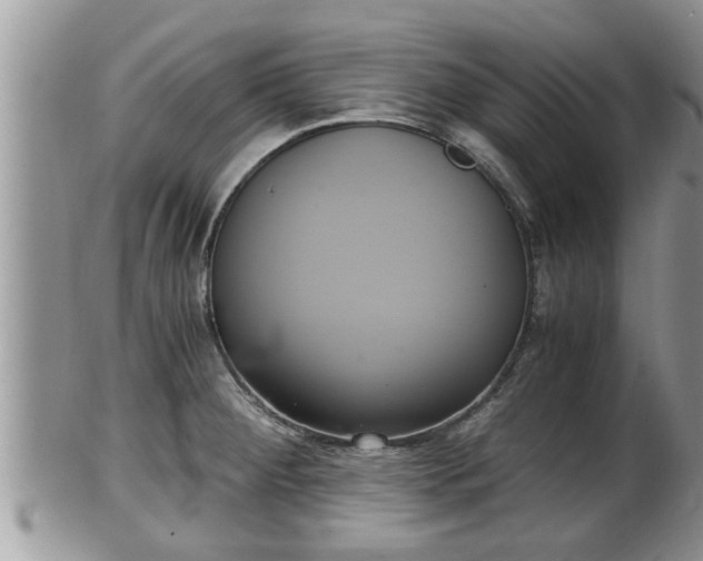 X0000102301284200808011531