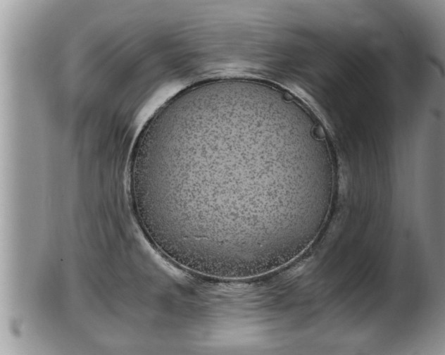 X0000102301285200808011531