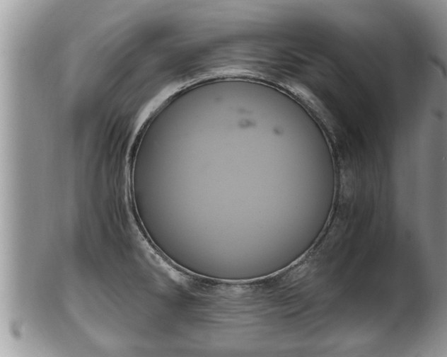 X0000102301286200808011531