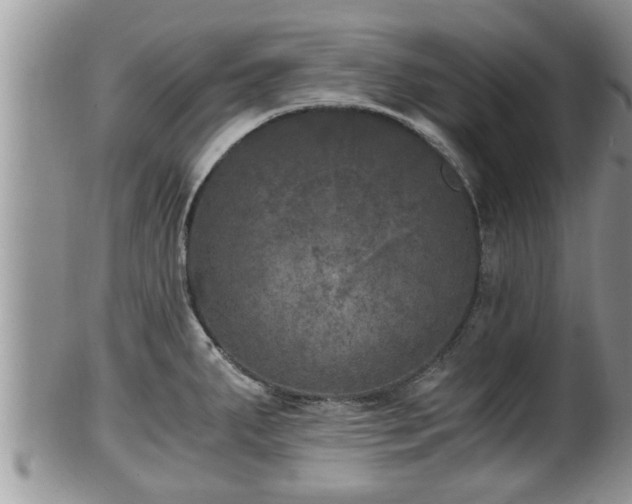 X0000102301287200808011531