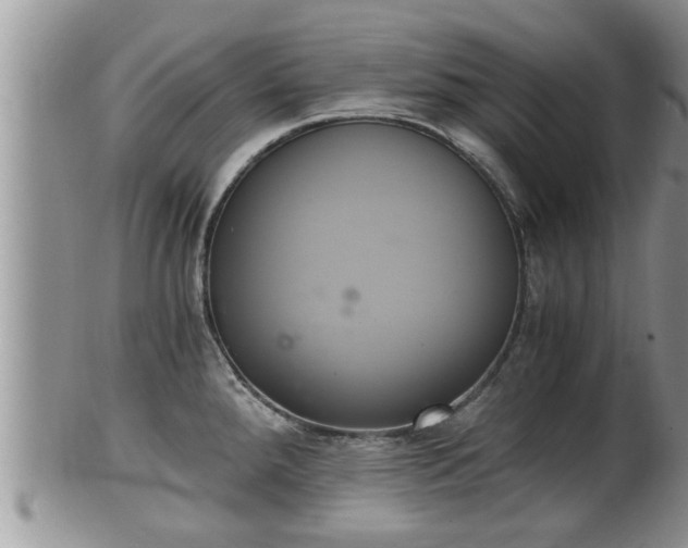 X0000102301288200808011531