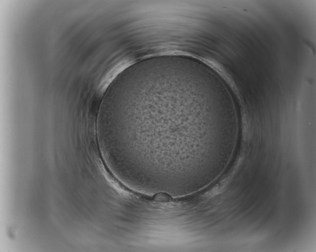 X0000102301289200808011531