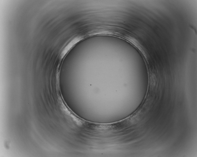 X0000102301290200808011531