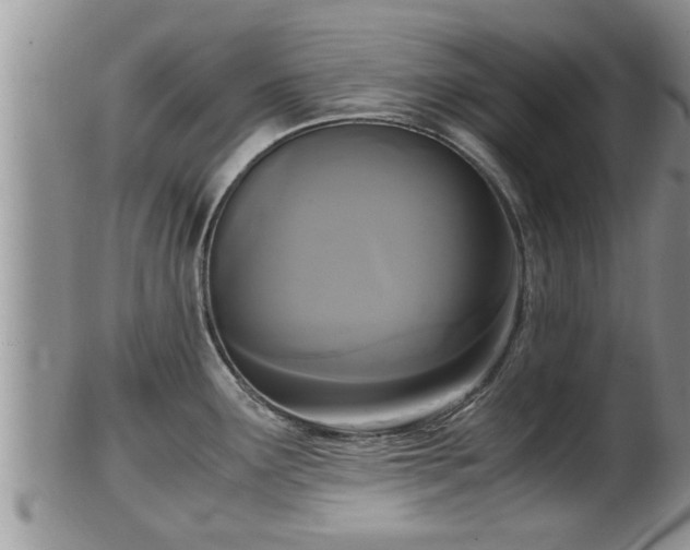 X0000102301291200808011531