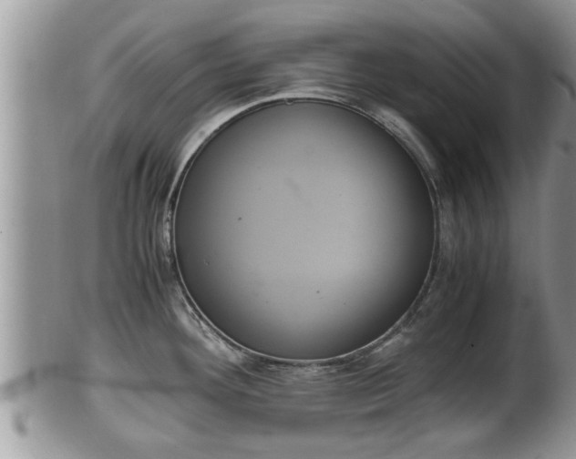 X0000102301292200808011531