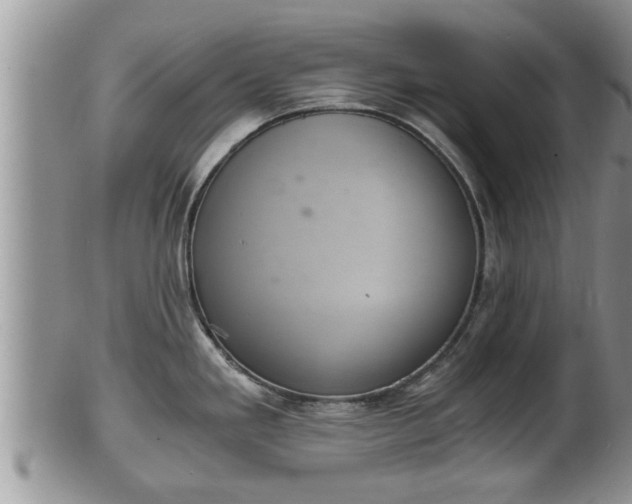 X0000102301293200808011531