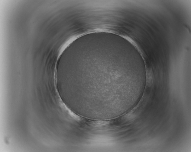 X0000102301294200808011531