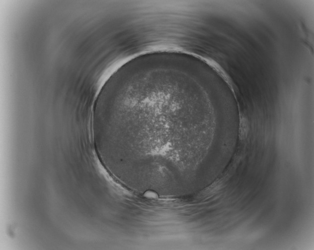 X0000102301295200808011531