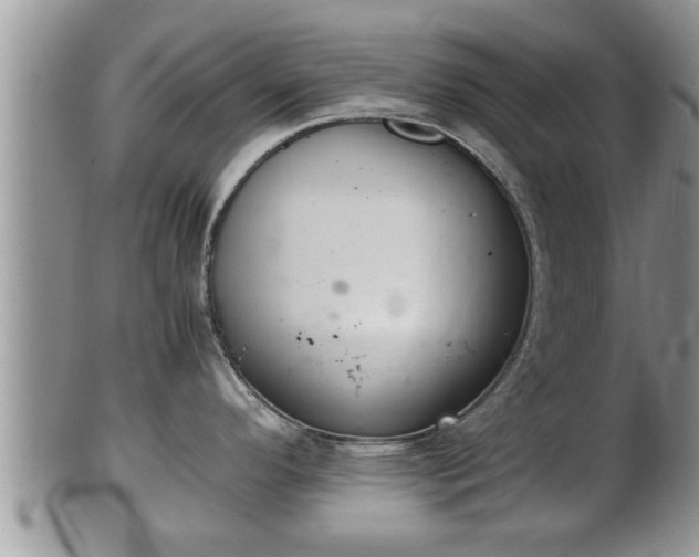 X0000102301296200808011531