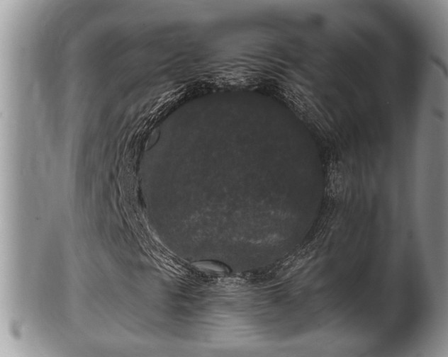 X0000102301297200808011530