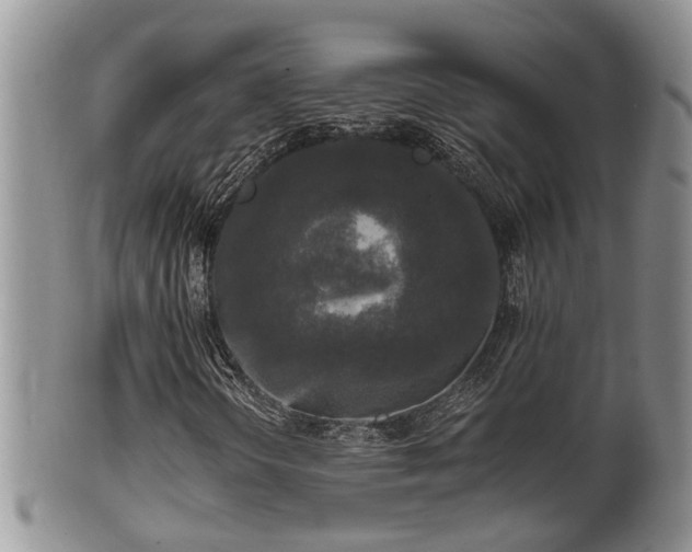 X0000102301298200808011530