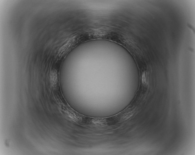 X0000102301299200808011530