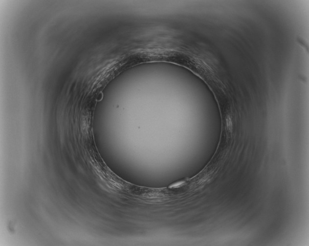 X0000102301300200808011530