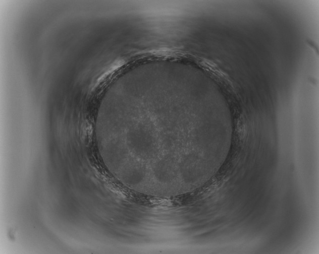 X0000102301302200808011530