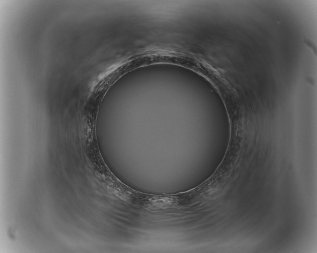 X0000102301303200808011530