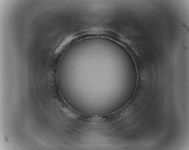 X0000102301304200808011530