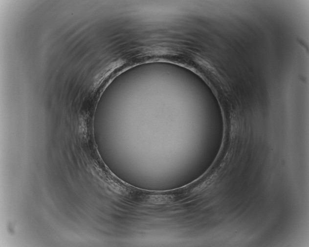 X0000102301305200808011530