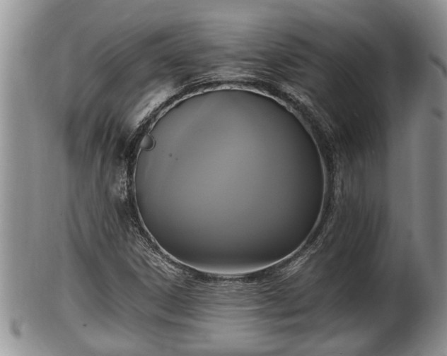 X0000102301306200808011530