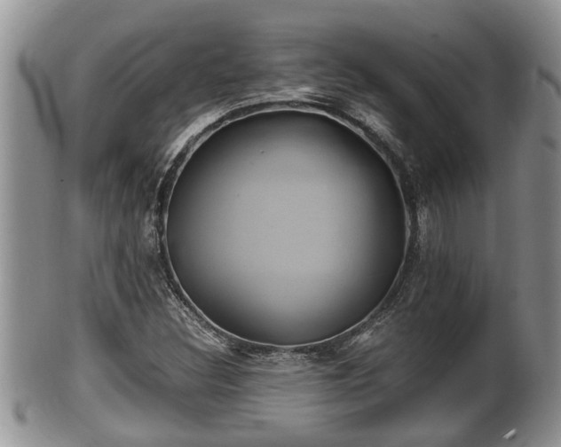 X0000102301308200808011530