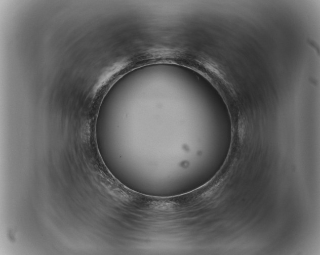 X0000102301309200808011530