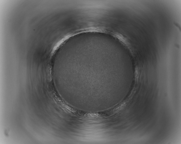 X0000102301310200808011530