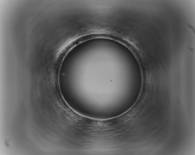 X0000102301311200808011530