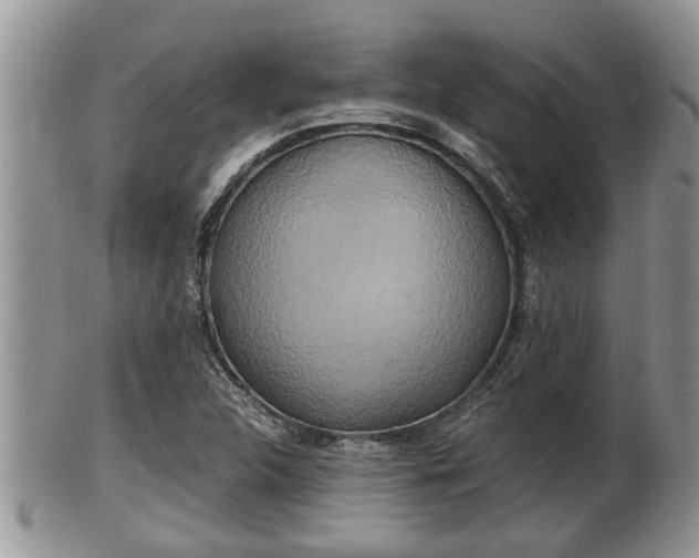 X0000102301312200808011530