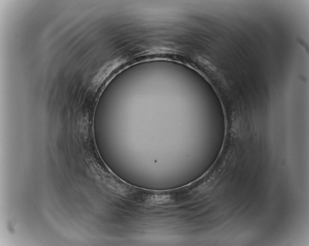 X0000102301313200808011530